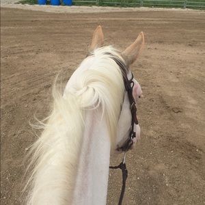 Meet your Posher, Linda